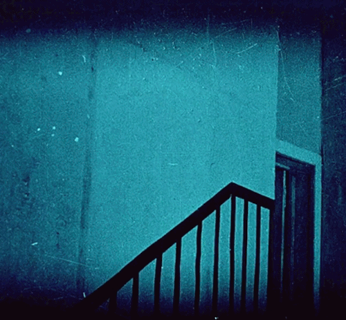 Nosferatu: A Symphony Of Horror (1922) - Dir. F. W. Murnau