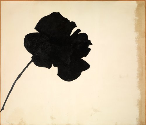 marcolikestowatch: Jannis Kounellis Il Fiore, 1960s