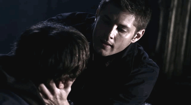 sammy-samulet:  guardian: /noun/   a defender, protector, or keeper.   