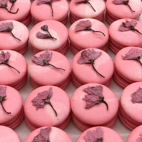 andantegrazioso: Dried flowers macarons | m_comme_macaron