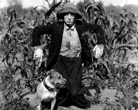 The Scarecrow (1920) Buster Keaton, Sybil Seely, Joe Roberts, Joe Keaton, Luke the Dog, Al St. John. Director- Buster Keaton “and Eddie Cline”. Written by Buster Keaton.
Typically I try to have a lobby card of the featured movie at the top of my...