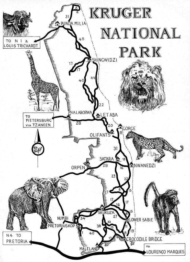 Kruger National Park Route Map
Source: HiltonT (flickr)