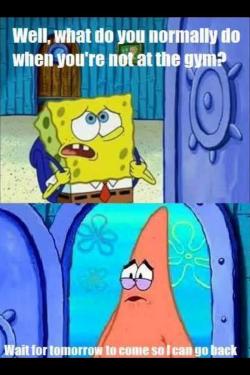 fitness-humor:  My life
