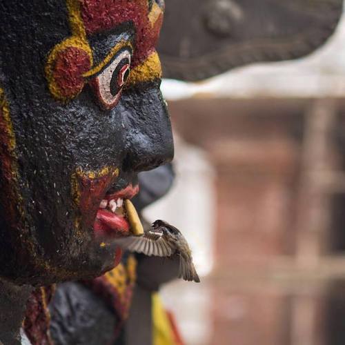 Kalabhairava, Kathmandu, Nepal