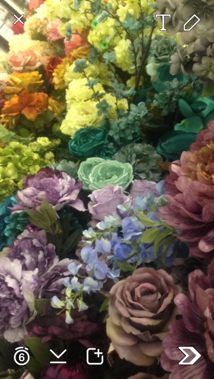 amraeica:  Hung out in the fake flower section today, it made me want to paint