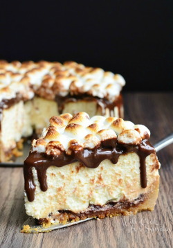 yumi-food:S’mores Cheesecakeok wtf? now
