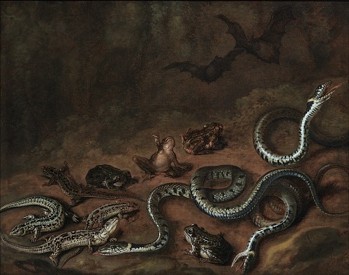 pinkstarlightcomputer:Carstian Luyckx (1623-1658) A forest floor still life with frogs and snakes, O
