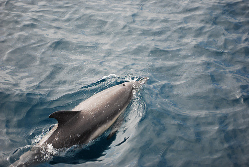 accaryan.tumblr.com/post/45736678601/