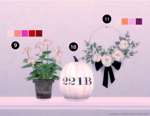 October SetNumbers 1-8 (chrysanthemums) are the same flowers, just different containers. These are p