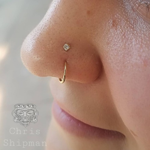 Lovely little double nostril set up. Bottom is healed (done by me) upgraded to an 18k yellow gold se