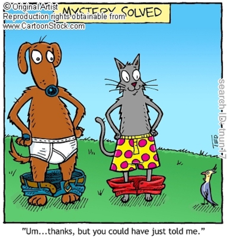 I honestly do not know what newspaper comic this is from. But it features a dog and