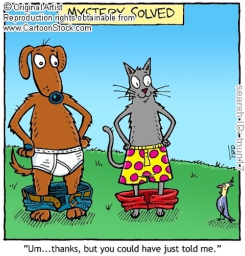 I honestly do not know what newspaper comic this is from. But it features a dog and cat answering the Boxers or Briefs question by pulling their pants down. The Dog apparently wears tighty whities while the cat wears boxers. 