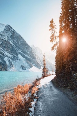 Chella-Pus: Maureen2Musings:   Lake Louise, Alberta     Ryanlongnecker    🌲 📷