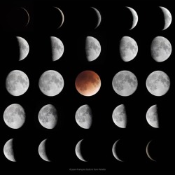 Phases of the Moon #nasa #apod #moon #satellite