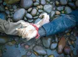 sixpenceee:  Red String LoversTwo bodies were found in the Yangtze River, China with their hands entwined together in red twine. The couples’ family did not agree with the marriage, so the lovers took their lives. According to this myth, the gods tie