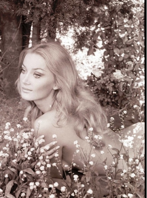 istitutofemminile:Barbara Bouchet