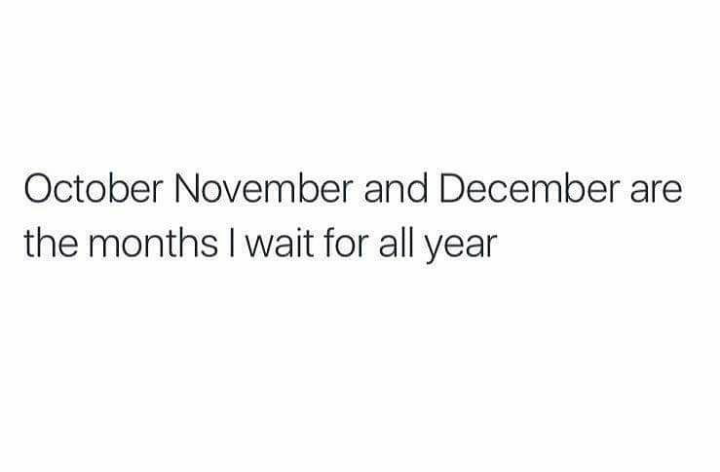 Winter & Christmas Holidays.