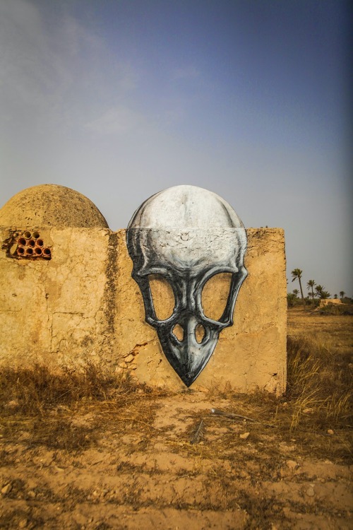 itscolossal:  Fun New Murals by ROA Utilize Tunisia’s Domed Architecture