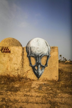 Asylum-Art:  Street Artist Roa’s Murals Make Creative Use Of Tunisia’s Domes