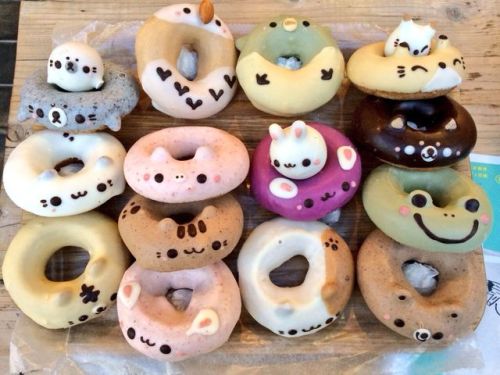 Kawaii animal donuts in Koenji now!