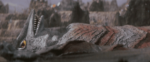 nm-gayguy:  citystompers1:  The rather short career of Space Gyaos in Gamera vs.
