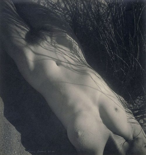 Max Dupain: Nude in grass (1939) 