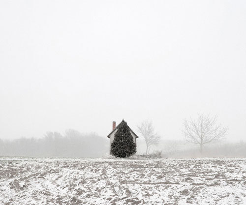 mythologyofblue:  Tamas Dezso, Tree and House, West Hungary, 2011 +