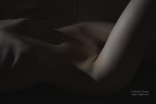 Porn Pics figuralist:  Turn | @brookelynneNYC2015-08-15Source: