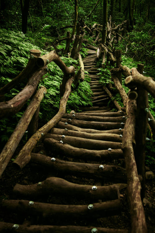 drxgonfly:The Abandoned Path (by Hanson Mao(毛延延))Taichang, Taiwan