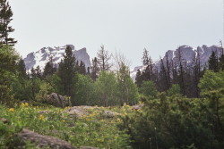rockymountainsexual:  Glacier Basin, Rocky Mountain National Forrest35mm film