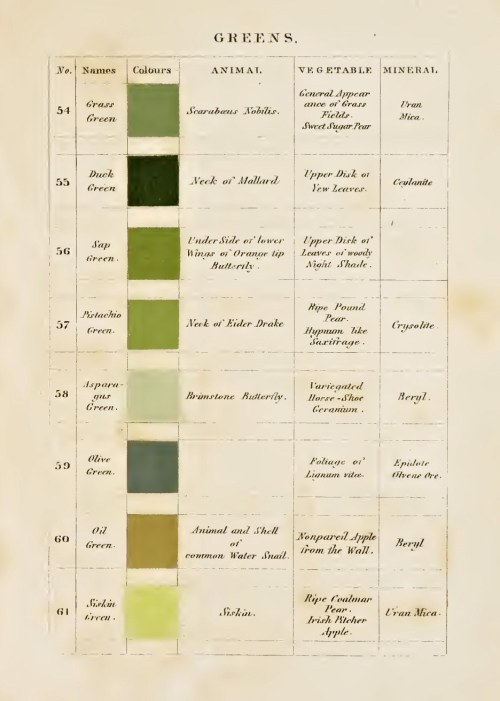 nobrashfestivity:Patrick Syme, Charts for Werner’s Nomenclature of Colours: Adapted to Zoology, Bota