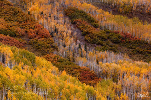 The Colors Of Colorado by AaronReedPhotography