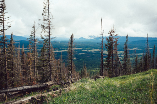 Coliseum Mountain. Nordegg, Alberta.