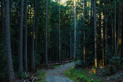 darkcoastphotography: Copley Ridge, Lantzville, 2016