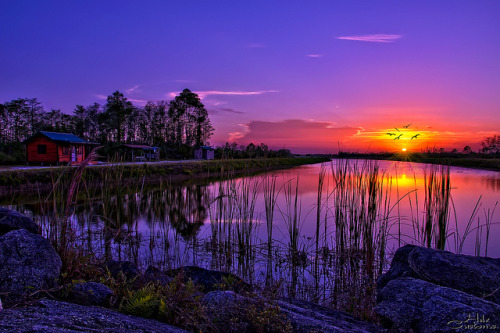Purple sunset over John C. and Mariana Jones/Hungryland Wildlife and Environmental Area by HDRcustom