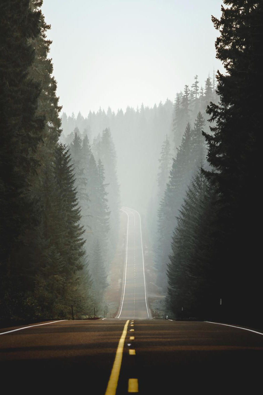 banshy: Sisters, Oregon by Justin Scudney 