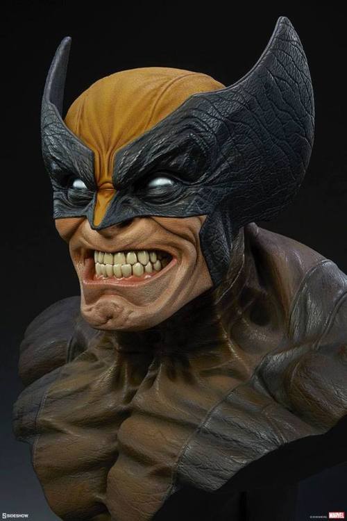 XXX haxanbelial:  Wolverine life-size bust by photo