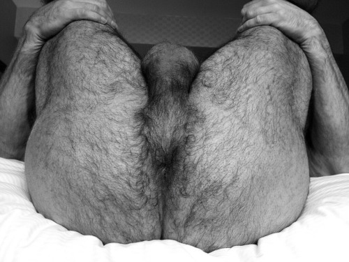 mydaddyishairy:   My Daddy is Hairy - over 44,000 followers: Archive  