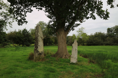 Meini Hirion Prehistoric Standing Stones, Llanbedr, North Wales, 28.8.18.This is another first visit