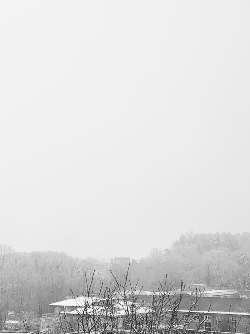 starrystvdy:07.01.21 // 74/100 days of productivityits snowing again!! i really wanna go outside and