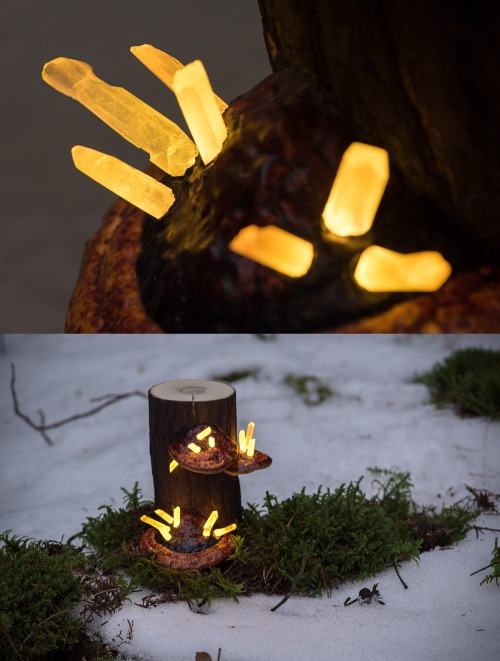 xenonkunai:sosuperawesome:Never before documented, discovered in wild northern forests these magical