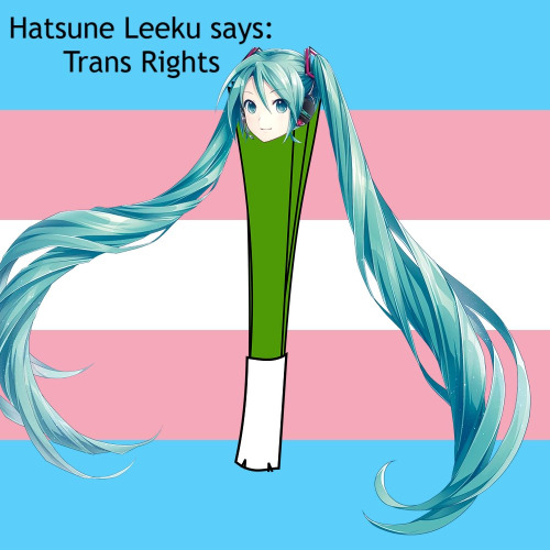 Hatsune Leeku Says: Trans Rights