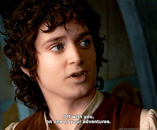 THE LORD OF THE RINGS: THE FELLOWSHIP OF THE RING (2001)