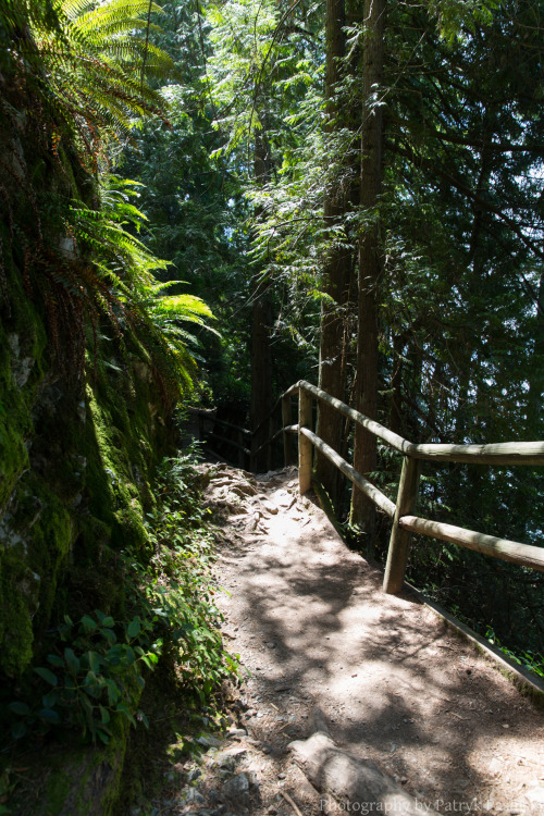 Went hiking with a friend at Belcarra Park. This was at Admiralty Point.Photos takes with 5D Mark II