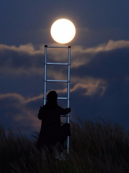 the-real-eye-to-see:  The Taming of the moon