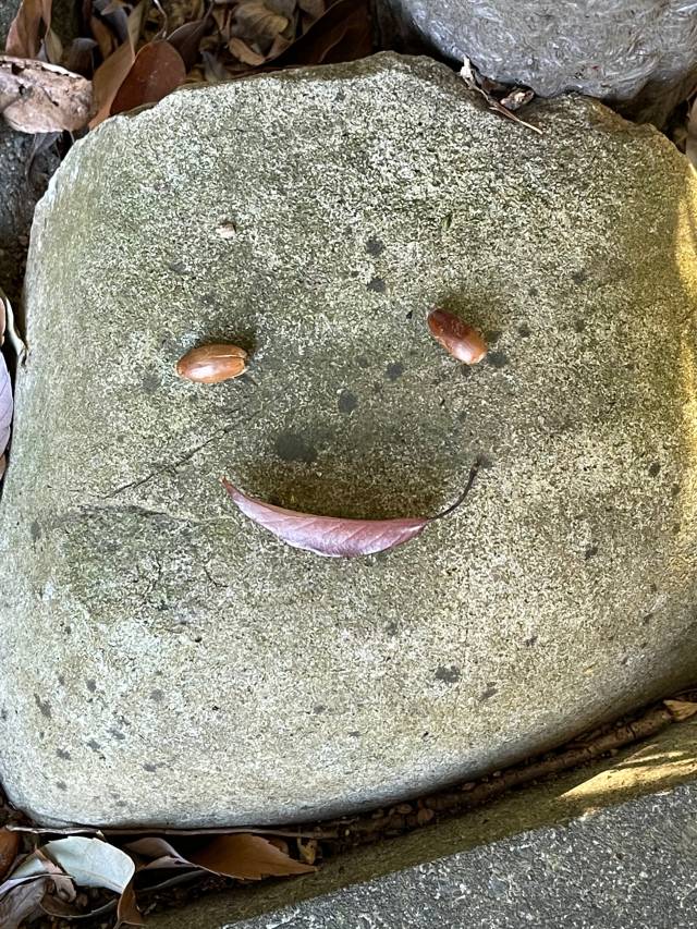 Let's find faces: level 1
 a smiley face on a rock