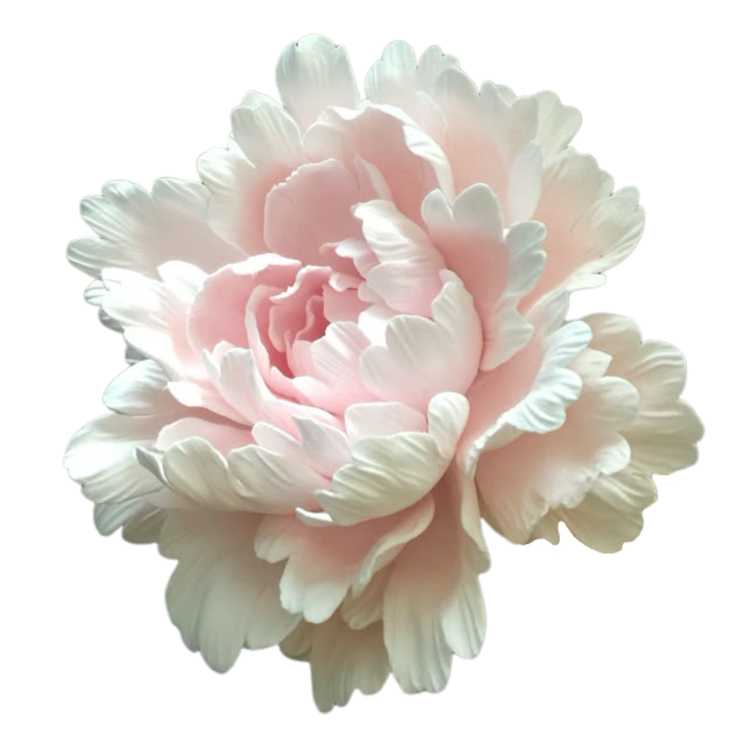 Pink Flower