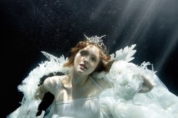 f-l-e-u-r-d-e-l-y-s:   Amazing Underwater Photography by Scott Rhea 