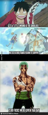 BECAUSE FUCK YOU THAT&rsquo;S WHY. Zoro, you&rsquo;re such a troll.