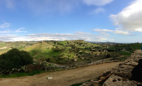 some landscape views from selinunte